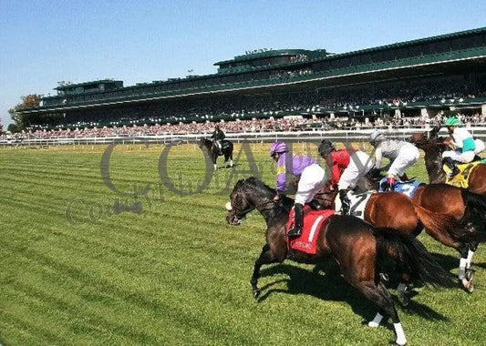 Keeneland - Fall 2011 Scenics 002