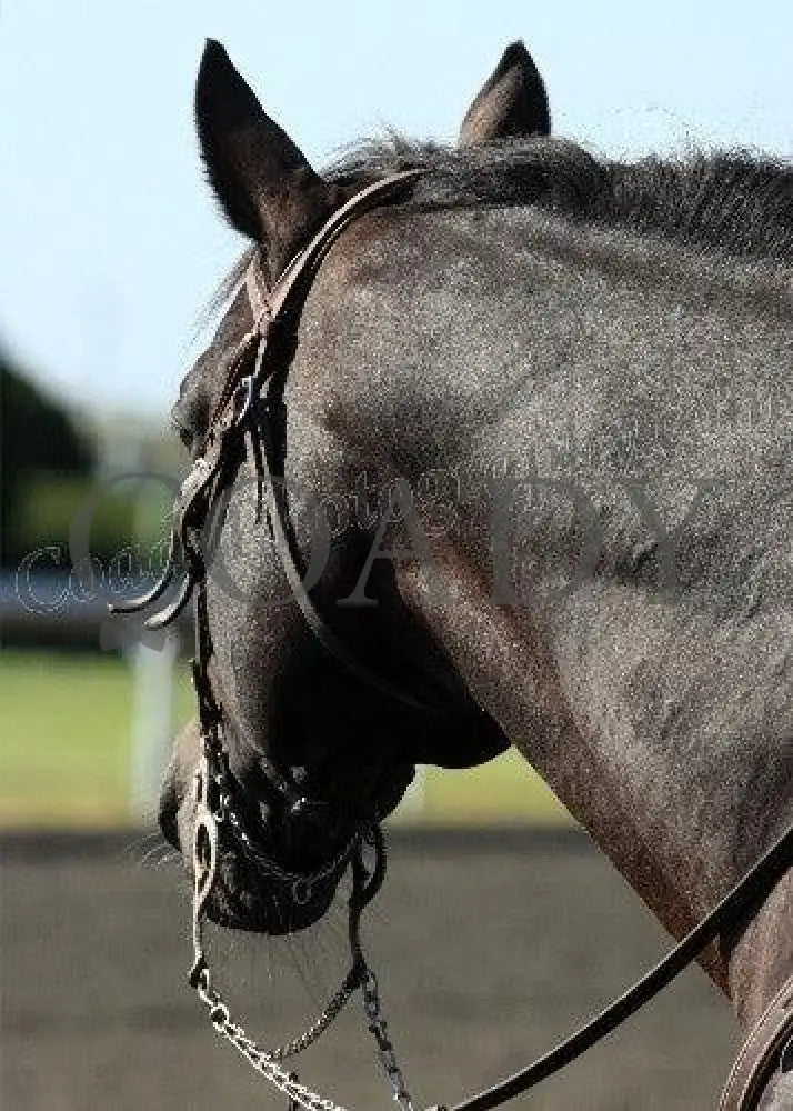 Keeneland - Fall 2011 Scenics 005