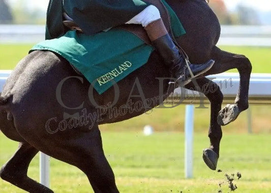 Keeneland - Fall 2011 Scenics 007