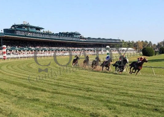 Keeneland - Fall 2011 Scenics 009