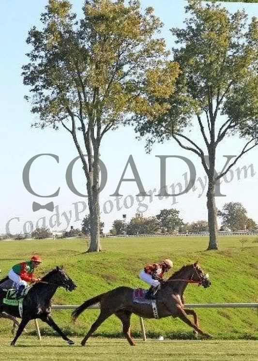 Keeneland - Fall 2011 Scenics 010