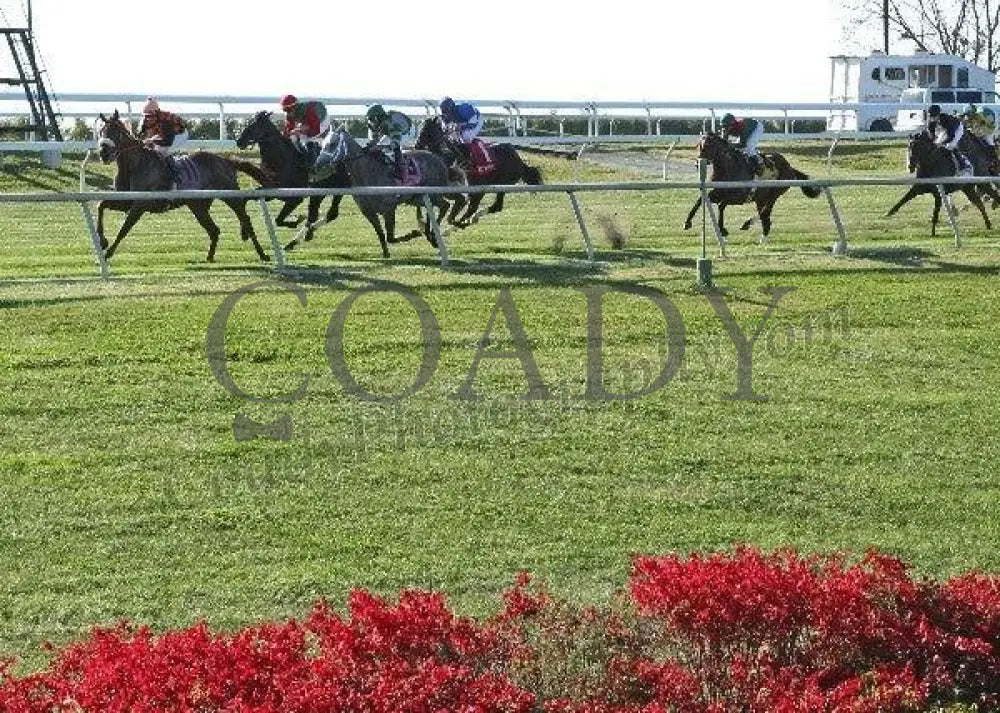 Keeneland - Fall 2011 Scenics 011