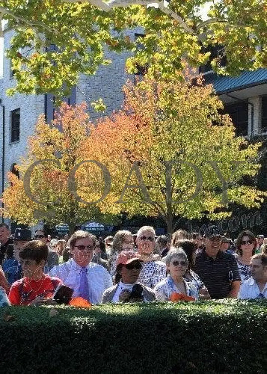 Keeneland - Fall 2011 Scenics 015