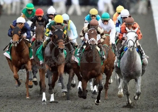 Keeneland - Fall 2011 Scenics 016