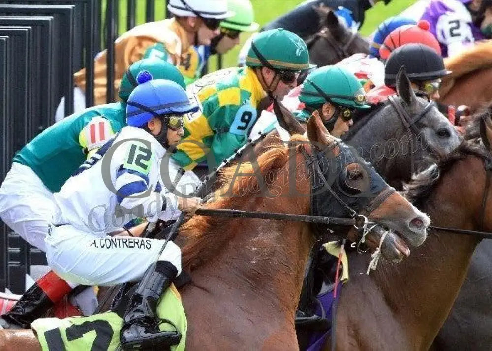 Keeneland - Fall 2011 Scenics 017