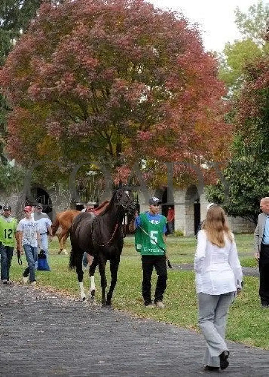Keeneland - Fall 2011 Scenics 021