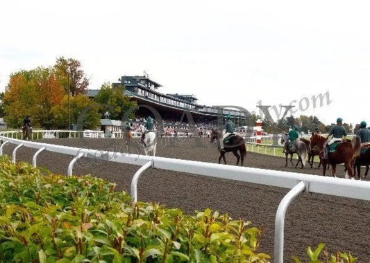 Keeneland - Fall 2011 Scenics 022