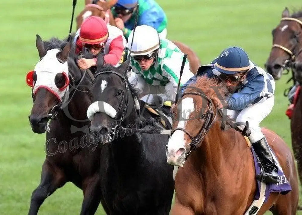 Keeneland - Fall 2011 Scenics 025