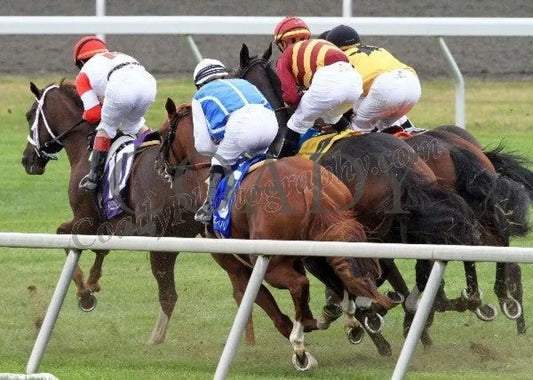 Keeneland - Fall 2011 Scenics 031