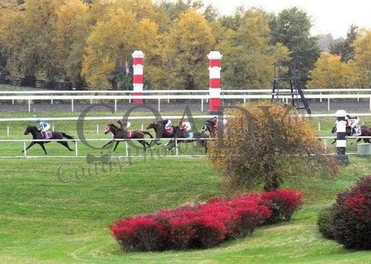 Keeneland - Fall 2011 Scenics 032