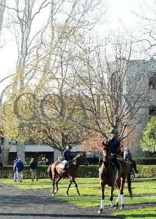 Keeneland - Spring 2011 Scenics 006