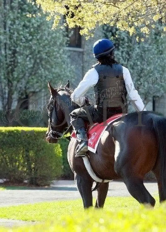 Keeneland - Spring 2011 Scenics 007