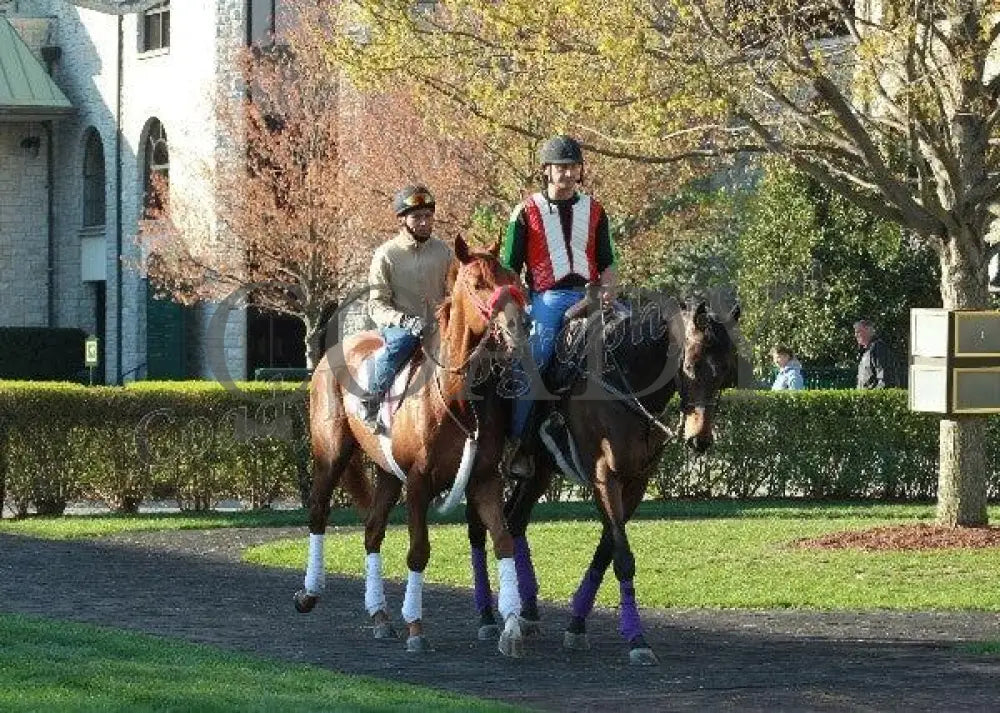 Keeneland - Spring 2011 Scenics 008