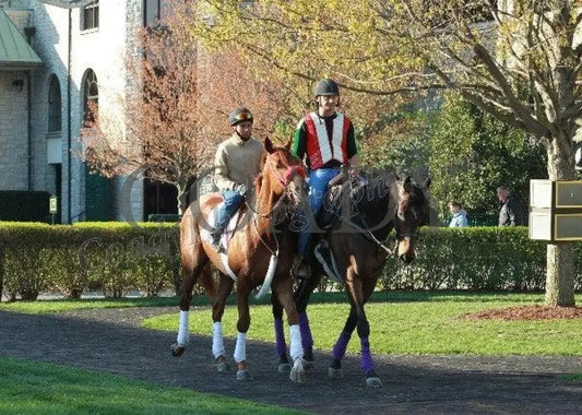 Keeneland - Spring 2011 Scenics 008