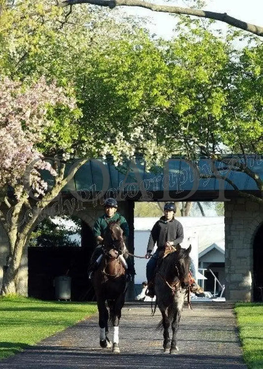 Keeneland - Spring 2011 Scenics 010