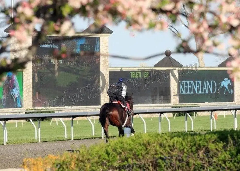 Keeneland - Spring 2011 Scenics 011