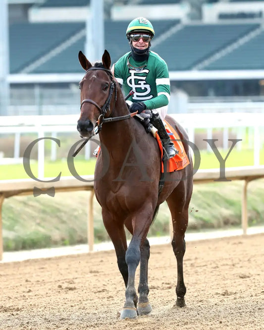 Keep It Easy - The Ed Brown 11-30-24 R06 Cd Come Back 02 Churchill Downs