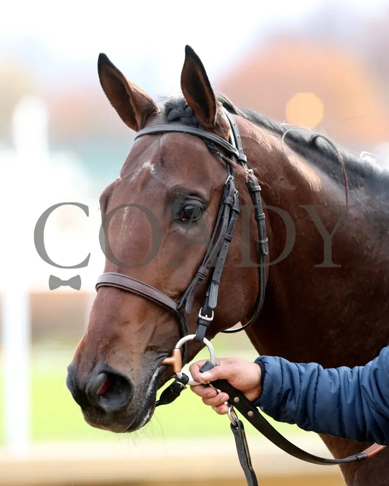 Keep It Easy - The Ed Brown 11-30-24 R06 Cd Come Back 03 Churchill Downs