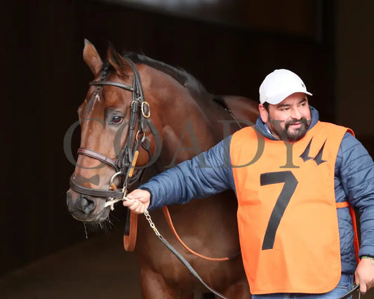 Keep It Easy - The Ed Brown 11-30-24 R06 Cd Paddock 01 Churchill Downs