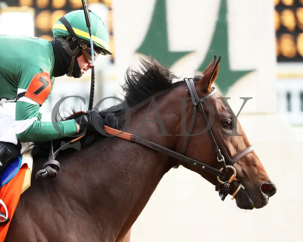 Keep It Easy - The Ed Brown 11-30-24 R06 Cd Tight Finish 02 Churchill Downs