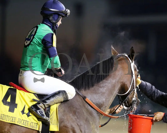 Keepmeinmind - Kentucky Jockey Club G2 94Th Running 11-28-20 R11 Cd Come Back 03 Churchill Downs