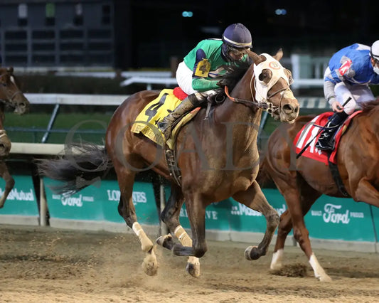 Keepmeinmind - Kentucky Jockey Club G2 94Th Running 11-28-20 R11 Cd Finish 02 Churchill Downs