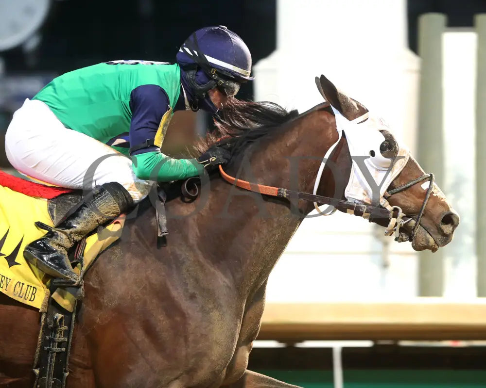 Keepmeinmind - Kentucky Jockey Club G2 94Th Running 11-28-20 R11 Cd Finish 03 Churchill Downs