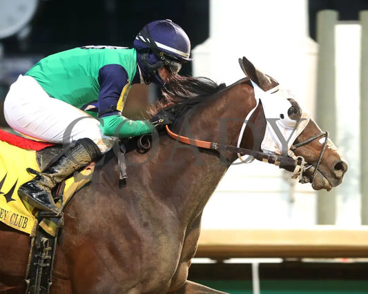 Keepmeinmind - Kentucky Jockey Club G2 94Th Running 11-28-20 R11 Cd Finish 03 Churchill Downs