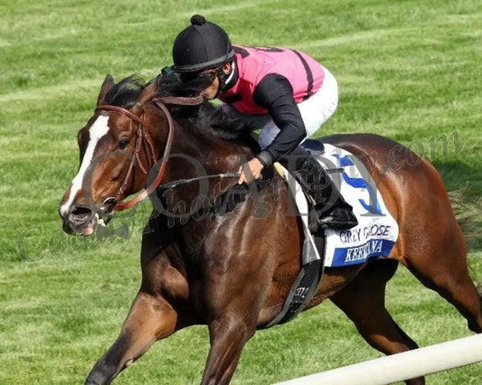 Keertana - The Grey Goose Bewitch Gr Iii Keeneland