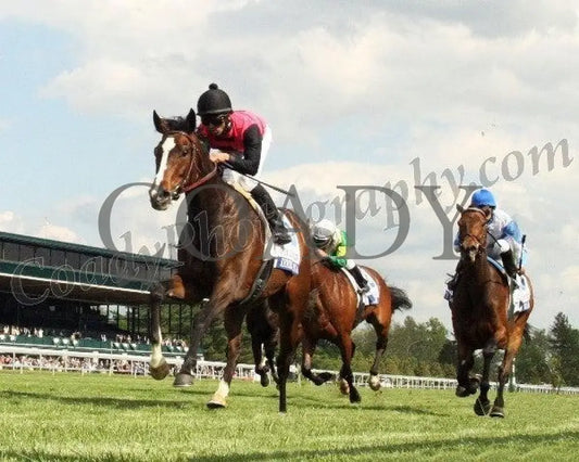 Keertana - The Grey Goose Bewitch Gr Iii Keeneland