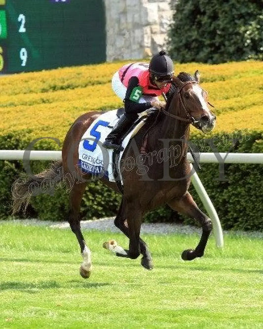 Keertana - The Grey Goose Bewitch Gr Iii Keeneland
