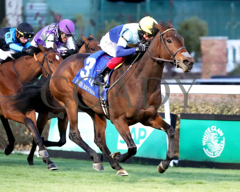 Kehoe Beach - The Mrs. Revere G2 11-29-24 R10 Cd Finish 02 Churchill Downs