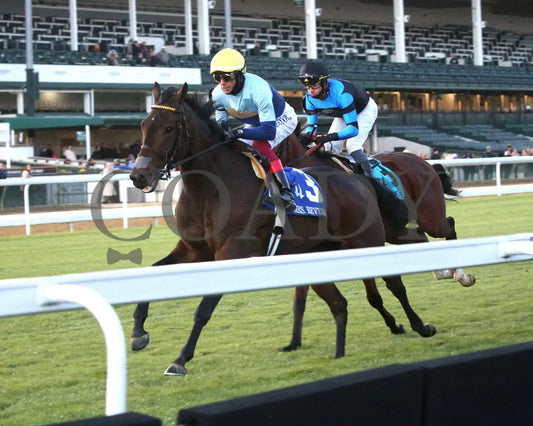 Kehoe Beach - The Mrs. Revere G2 11-29-24 R10 Cd Inside Finish 01 Churchill Downs