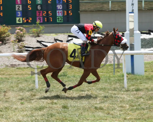 Kelleher - 071924 Race 05 Btp The Horizon Stakes Finish 01 Belterra Park