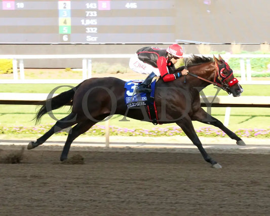 KELLI GIRL - Cox Ranch Distaff Challenge Final - 09-16-25 - R09 - Horseshoe Indiana - Finish 01 - Sammantha Pagels