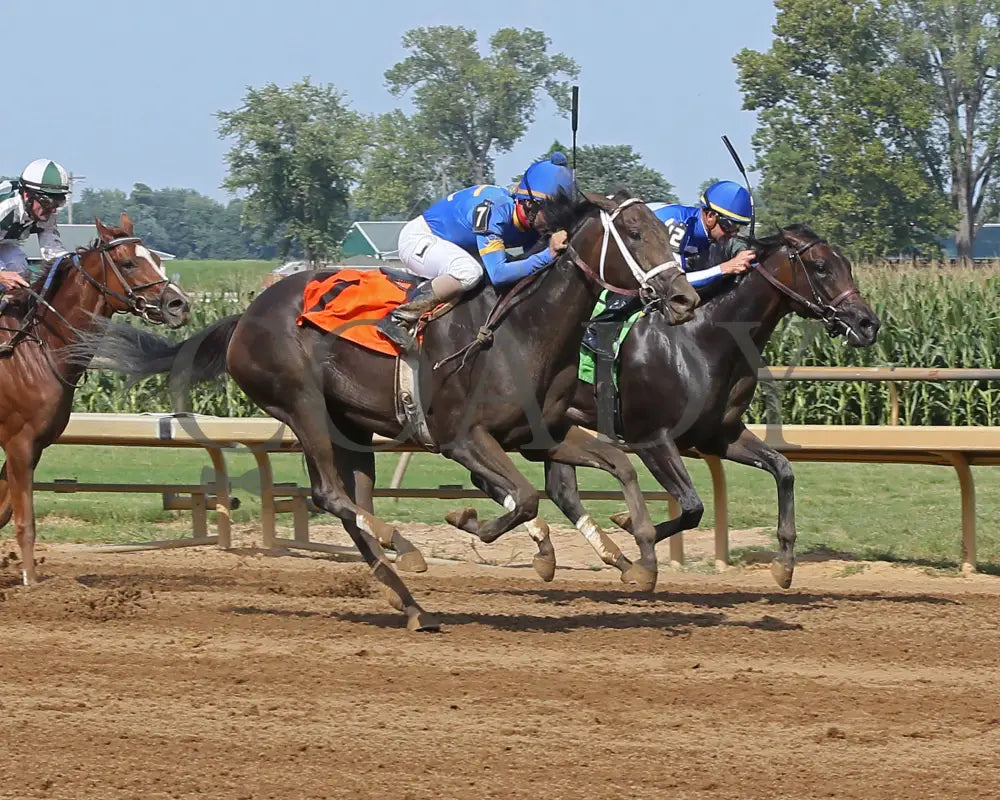 Kelly’s Humor - 082017 Race 07 Elp Finish 2 Ellis Park