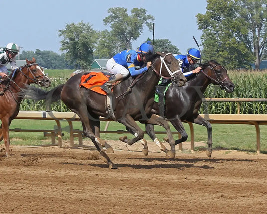 Kelly’s Humor - 082017 Race 07 Elp Finish 2 Ellis Park