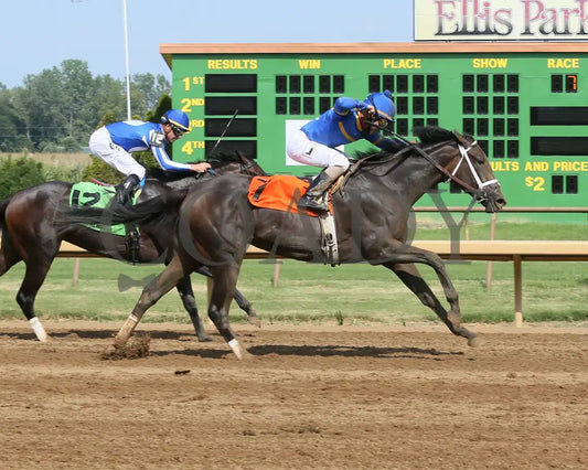 Kelly’s Humor - 082017 Race 07 Elp Finish Ellis Park