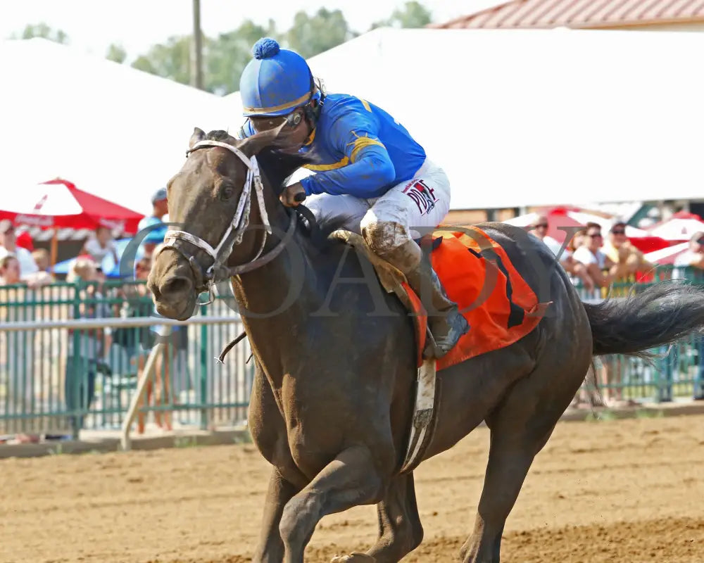 Kelly’s Humor - 082017 Race 07 Elp Inside Finish Ellis Park