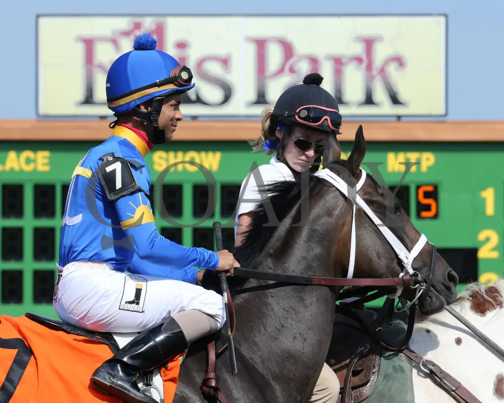 Kelly’s Humor - 082017 Race 07 Elp Post Parade 1 Ellis Park