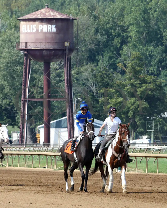 Kelly’s Humor - 082017 Race 07 Elp Post Parade 2 Ellis Park