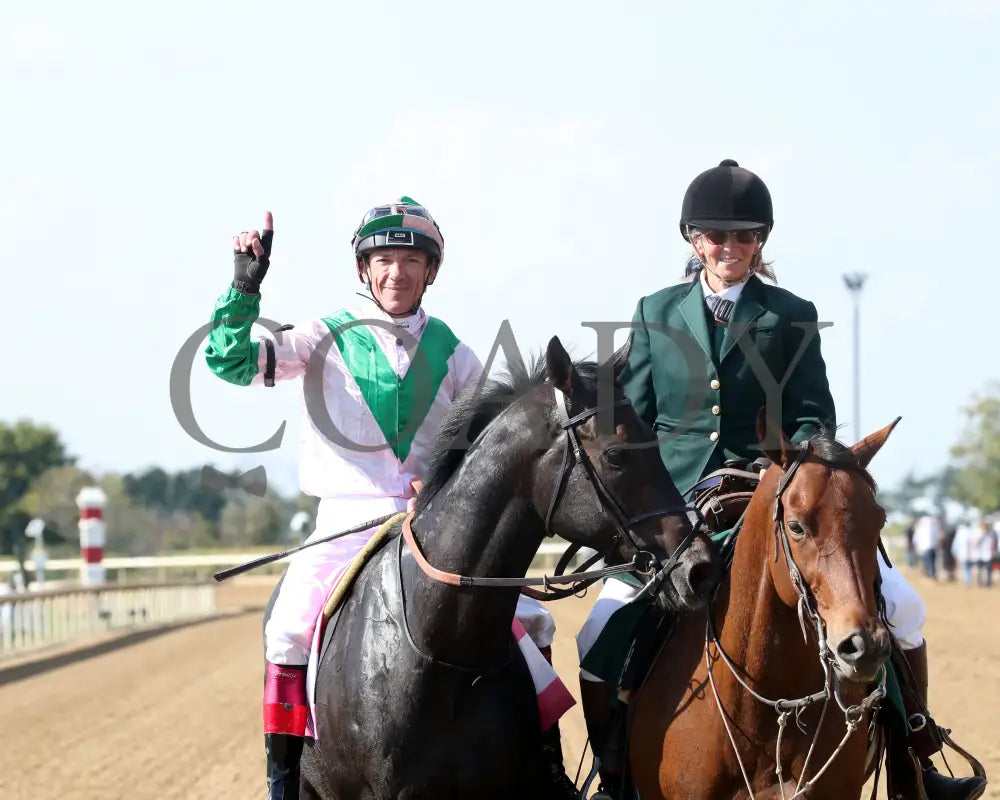 KHAADEM - 100425 - Race 06 - KEE - Come Back 01 Keeneland