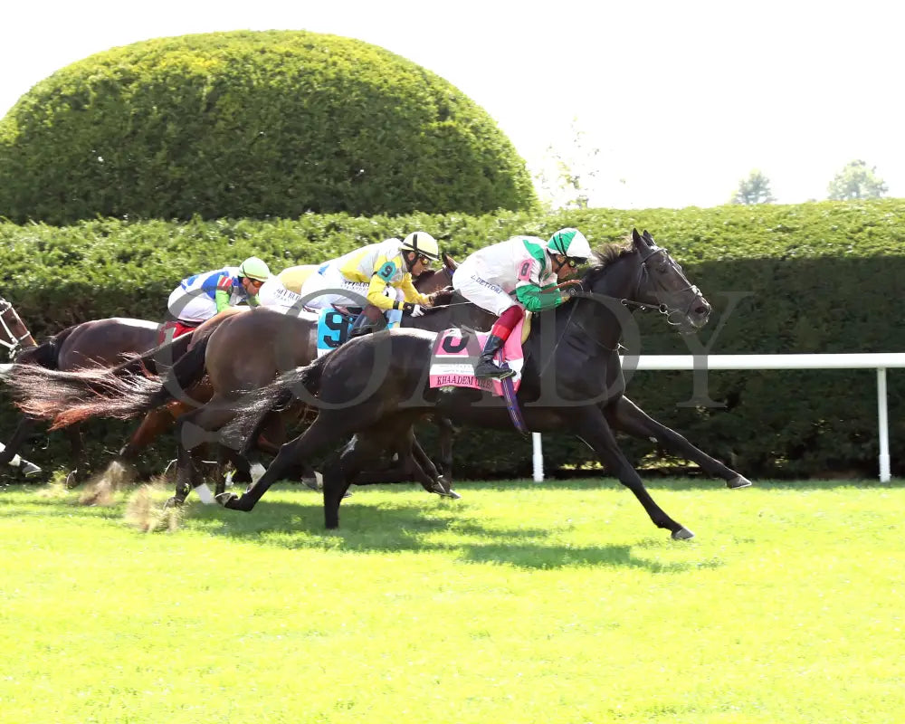 KHAADEM - 100425 - Race 06 - KEE - Finish 01 Keeneland