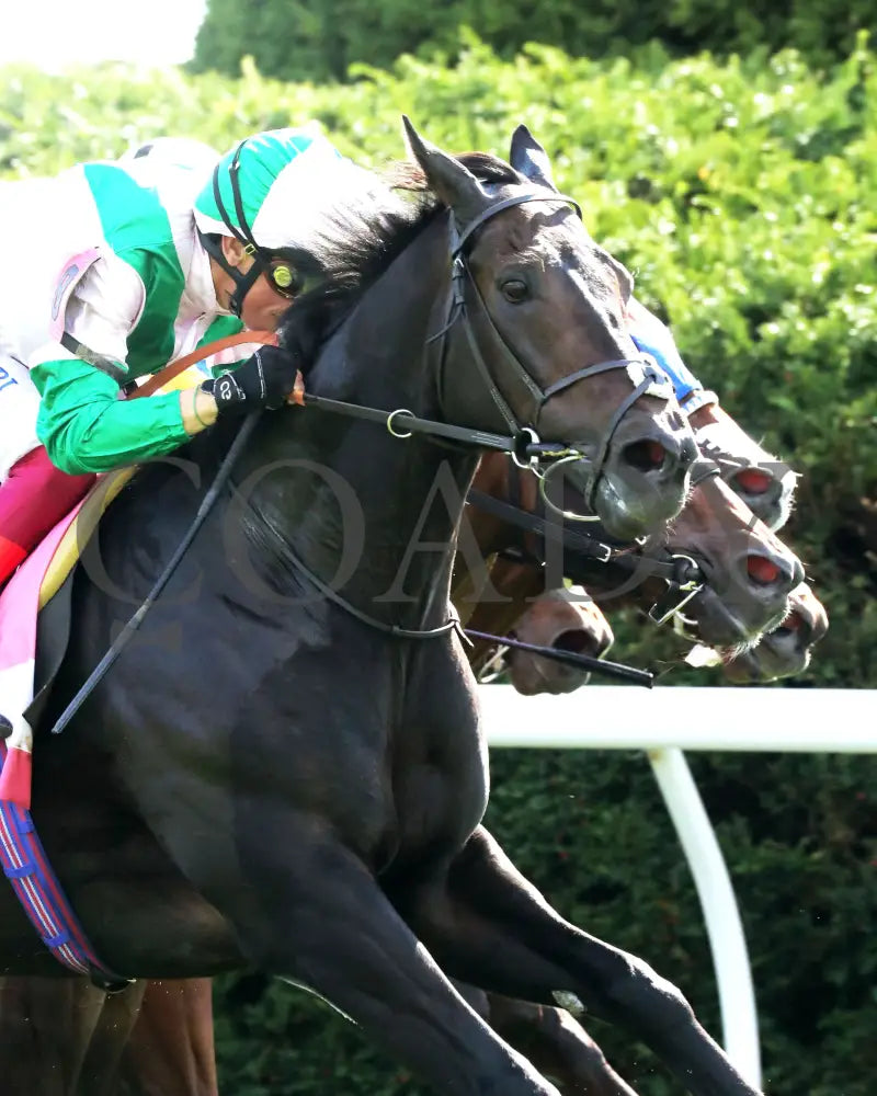 KHAADEM - 100425 - Race 06 - KEE - Finish 03 Keeneland