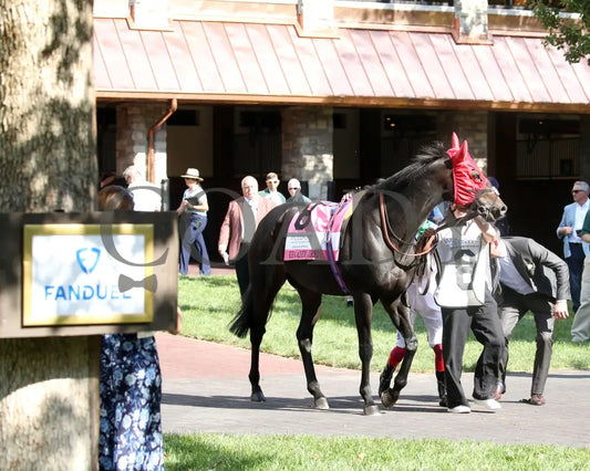 KHAADEM - 100425 - Race 06 - KEE - Paddock 01 Keeneland