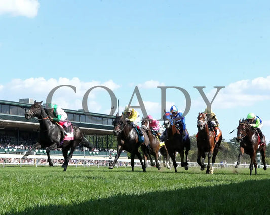KHAADEM - 100425 - Race 06 - KEE - Under Rail 01 Keeneland