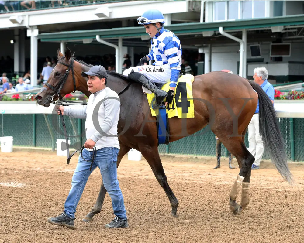 KILWIN - The Leslie’s Lady Overnight Stakes - 4th Running - 06-08-25 - R05 - CD - Come Back 02 Churchill Downs