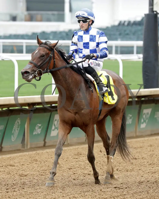 KILWIN - The Leslie’s Lady Overnight Stakes - 4th Running - 06-08-25 - R05 - CD - Come Back 03 Churchill Downs