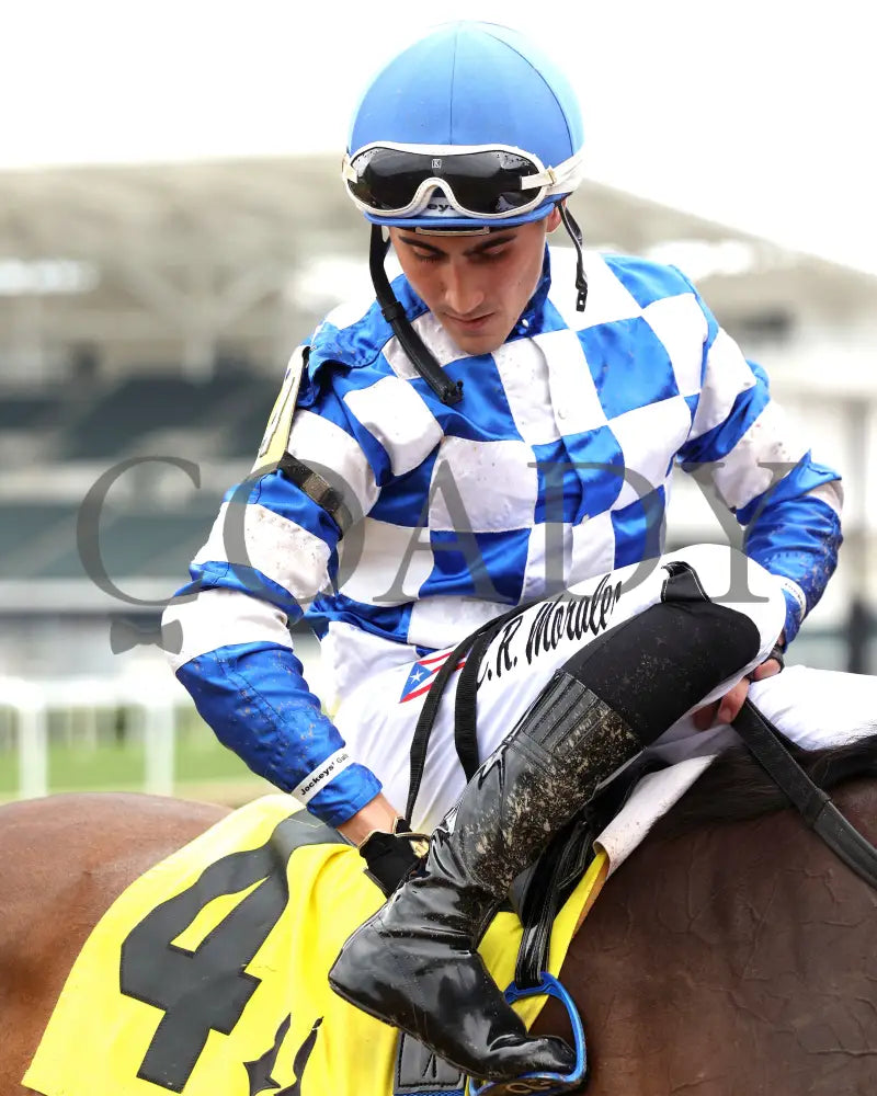 KILWIN - The Leslie’s Lady Overnight Stakes - 4th Running - 06-08-25 - R05 - CD - Edgar Morales 02 Churchill Downs