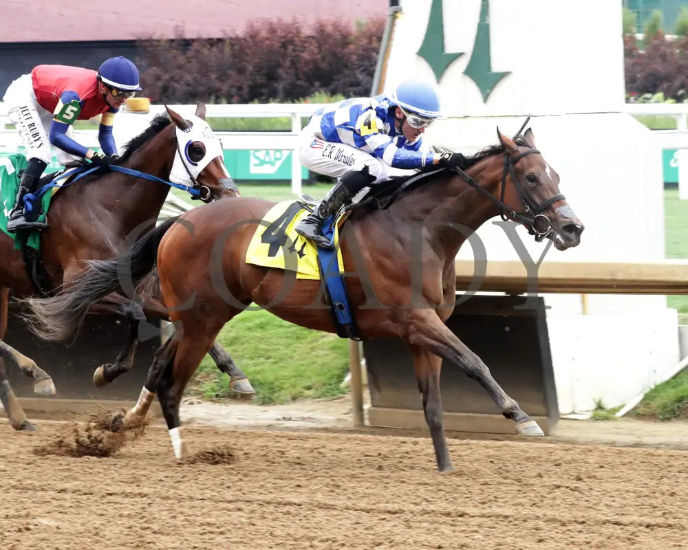 KILWIN - The Leslie’s Lady Overnight Stakes - 4th Running - 06-08-25 - R05 - CD - Finish 02 Churchill Downs
